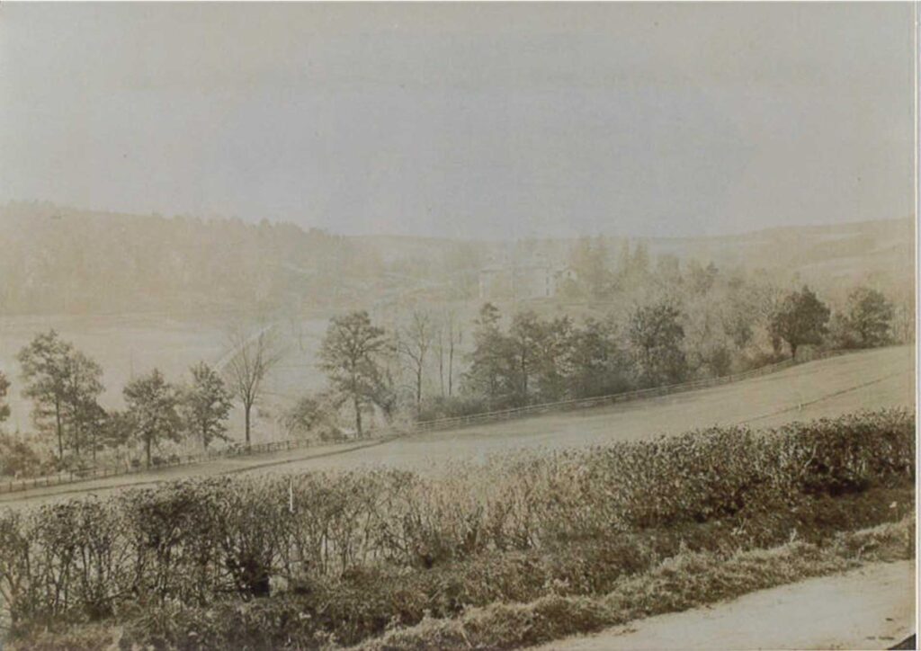 Falcondale History The Falcondale