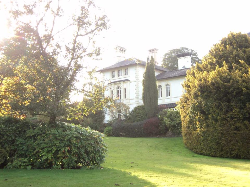 The Falcondale The Falcondale